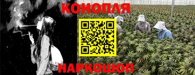 мяу мяу мука Коммунар